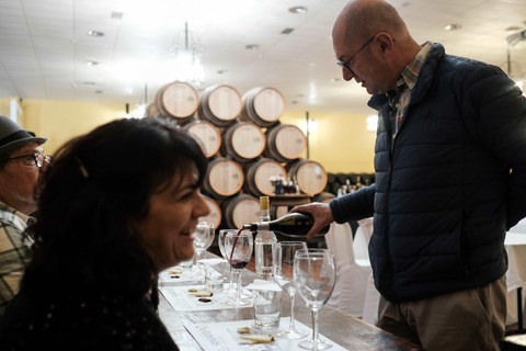 Bodegas Quitapenas: Guided Tour + Wine Tasting Quitapenas Winery: Guided Visit + Wine & Ham