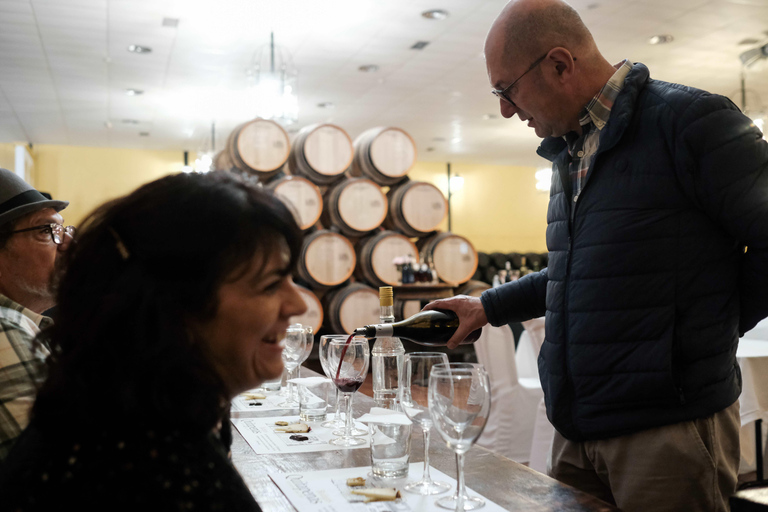Bodegas Quitapenas: Guided Tour + Wine Tasting Quitapenas Winery: Guided Visit + Wine & Ham