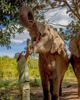 Siem Reap, pequeña gira grupal de Kulen Elephant Forest - Housity