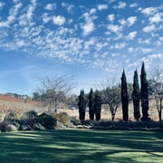 Sip & Scenic: Adelaide Hills
