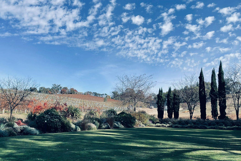 Excursión por las colinas de Adelaida