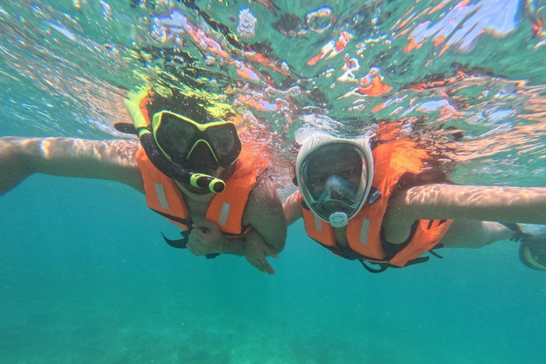 Mirissa VIP Turtles Snorkeling: Pool Training & Free GoPro