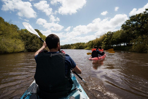 Kayaking Nature Experience - Day Trip from Colonia Kayak Experience WITHOUT transport