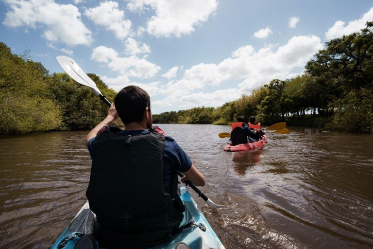 Kayaking Nature Experience - Day Trip from Colonia Kayak Experience WITHOUT transport