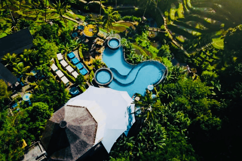 Ubud: tour privato del miglior Cretya Day Club di Ubud e delle cascateQuesta opzione non include i biglietti