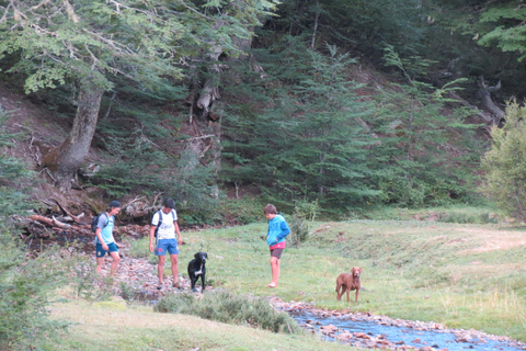 San Martin de los Andes Sightseeing Tour: Mallin Grande