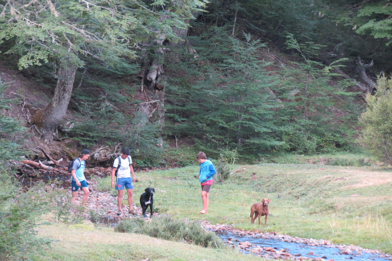 San Martin de los Andes Sightseeing Tour: Mallin Grande