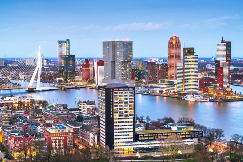 Rotterdam : Promenade express avec un habitant en 90 minutes