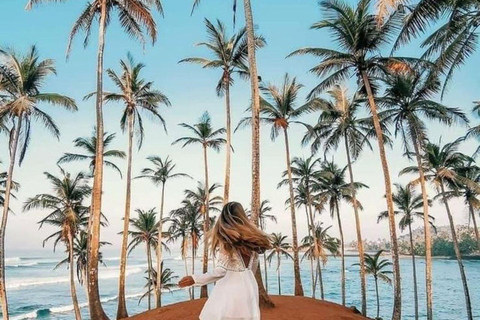 Mirissa Whale Watching, Turtle Snorkeling &Coconut Hill Tour Private Tour from Colombo, Negombo or Mount Lavinia