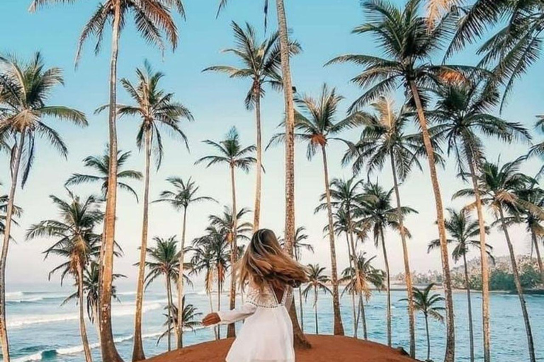 Mirissa Whale Watching, Turtle Snorkeling &Coconut Hill Tour Private Tour from Colombo, Negombo or Mount Lavinia