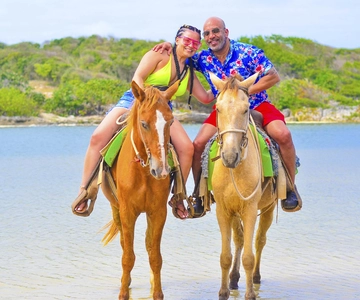 Discover the Trails of Punta Cana on a Horseback Ride
