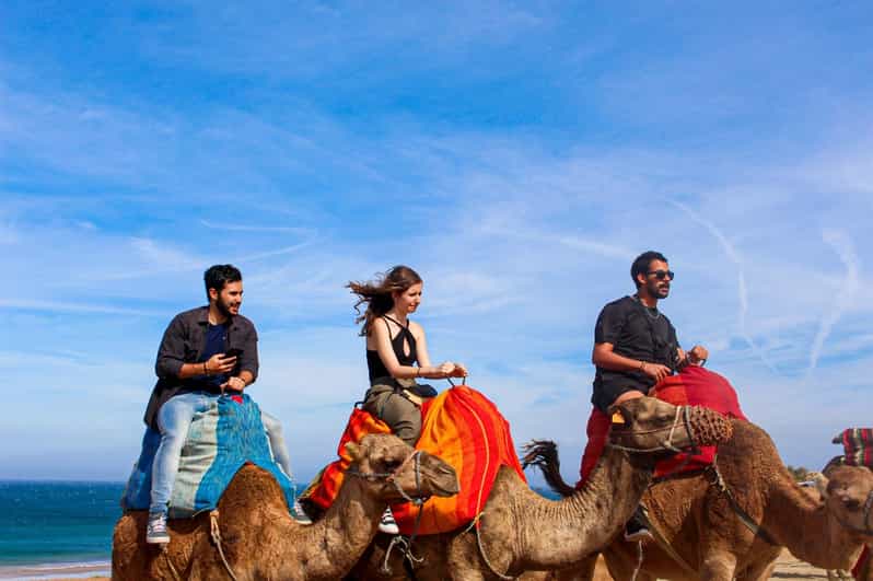 Tanger : Balade à dos de chameau à Chefchaouen et Cap spartel - dromadaire