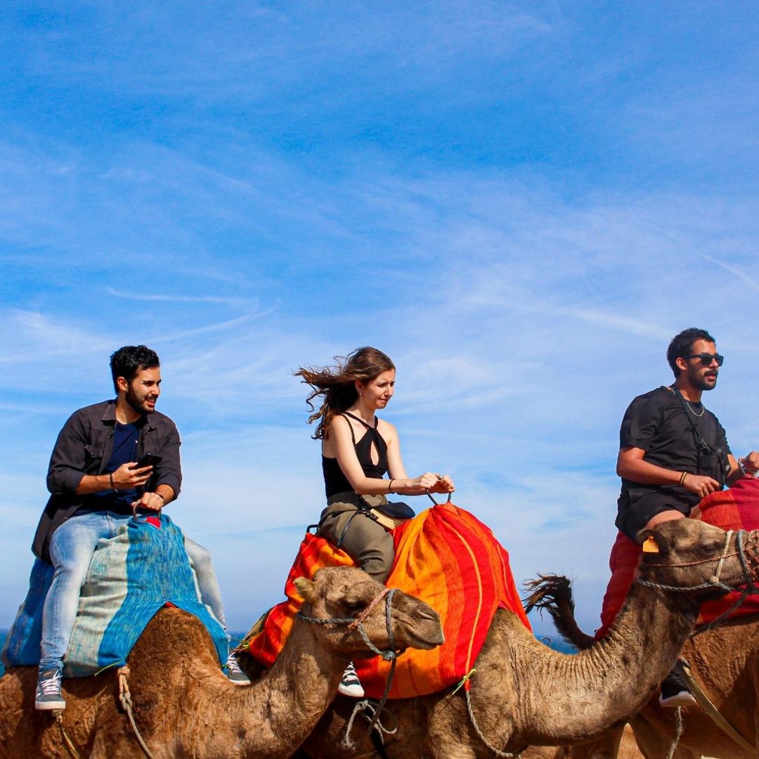 Tanger : Balade à dos de chameau à Chefchaouen et Cap spartel - dromadaire