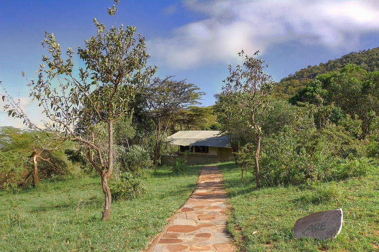 From Nairobi: Maasai Mara Fly-In Safari with Picnic