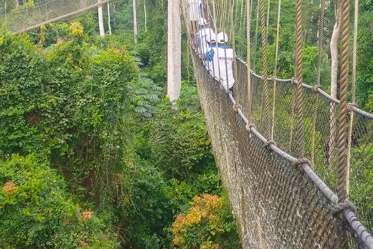 Assin Manso Slave River, Cape Coast Castle and Kakum Tour