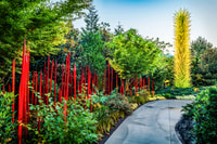 Biglietto d'ingresso Seattle, Chihuly Garden e Glass - Hizvo