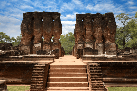 Sri Lanka: tour di 8 giorni con servizio di prelievo e rientro dall&#039;aeroporto