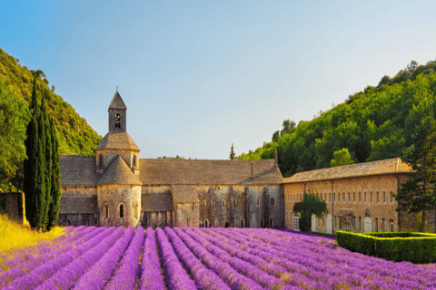 Day Trip: Lavender Fields & Gorges du Verdon LICENSED GUIDE + MERCEDES V