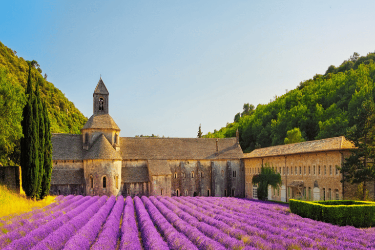 Day Trip: Lavender Fields & Gorges du Verdon LICENSED GUIDE + MERCEDES V