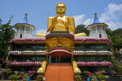 Sigiriya: Dambulla, Spice Garden & Sera Waterfall Tour