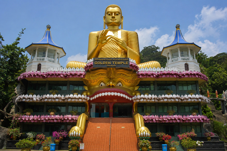 Sigiriya: Dambulla, Spice Garden & Sera Waterfall Tour