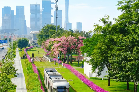 Guangzhou Day Tour: Trolley, Glass Museum &amp; Night Cruise