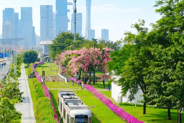 Guangzhou Day Tour: Trolley, Glass Museum &amp; Night Cruise