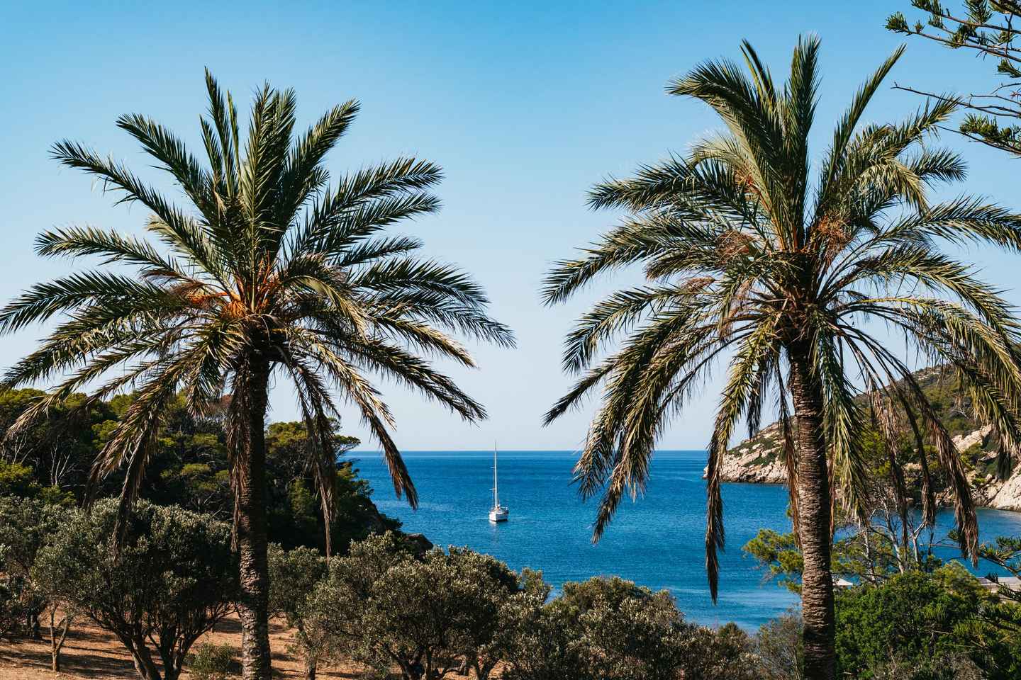 Santa Ponta/Peguera: Dragonera Island Cruise with Swim Stop