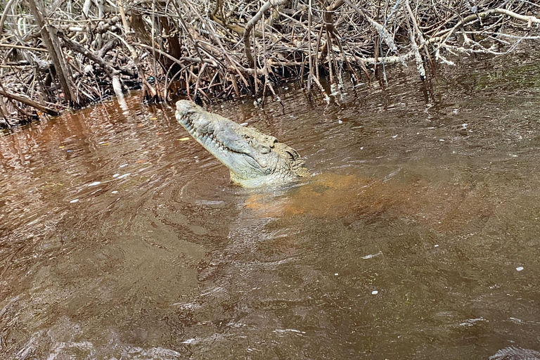 Natuurbelevenis Rio Lagartos en Las Coloradas.