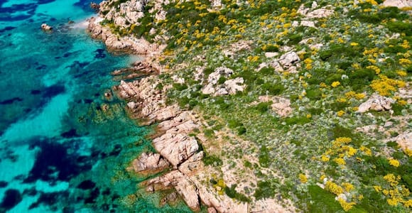Private Tour of Piscine di Molara & Cala Girgolu – Half-Day from Olbia