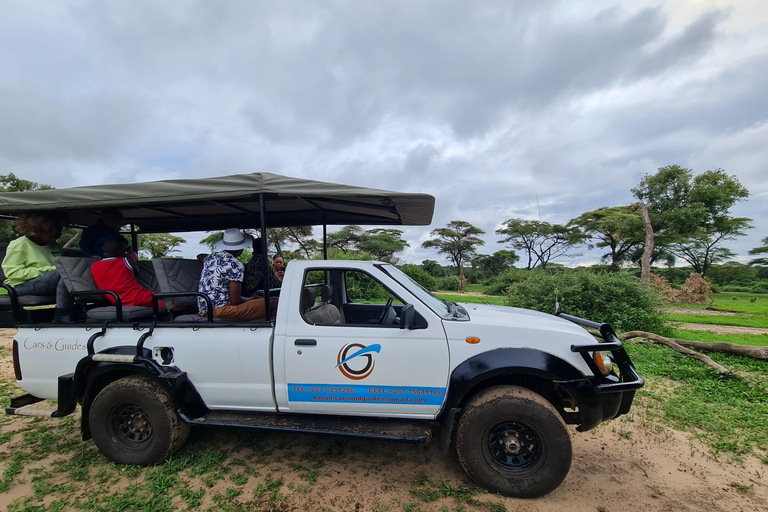 Chobe Overnight Trip (nocna przejażdżka, spacer po wiosce, kemping)