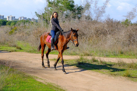Antalya / Belek : Horseback Riding Through Forest & Beach Sunset Horseback Riding