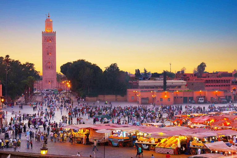 Privat tur i Casablanca öken 8 dagar Grand Morocco Tour