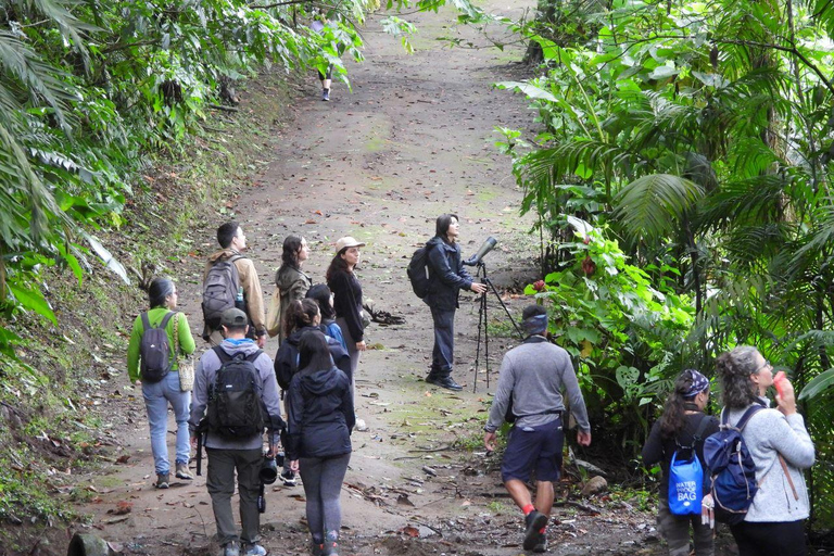San Jose Birdwatching: Nature and Cultural Experience