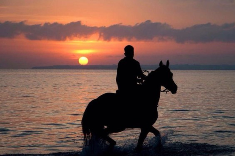 Punta Cana: Horseback Riding Free Pickup Hotel