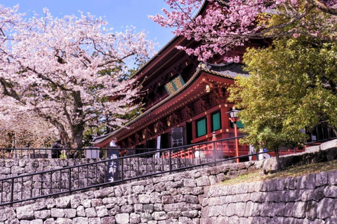 From Tokyo: Nikko Toshogu Shrine and Lake Chuzenji Day Trip Private Sightseeing Tours