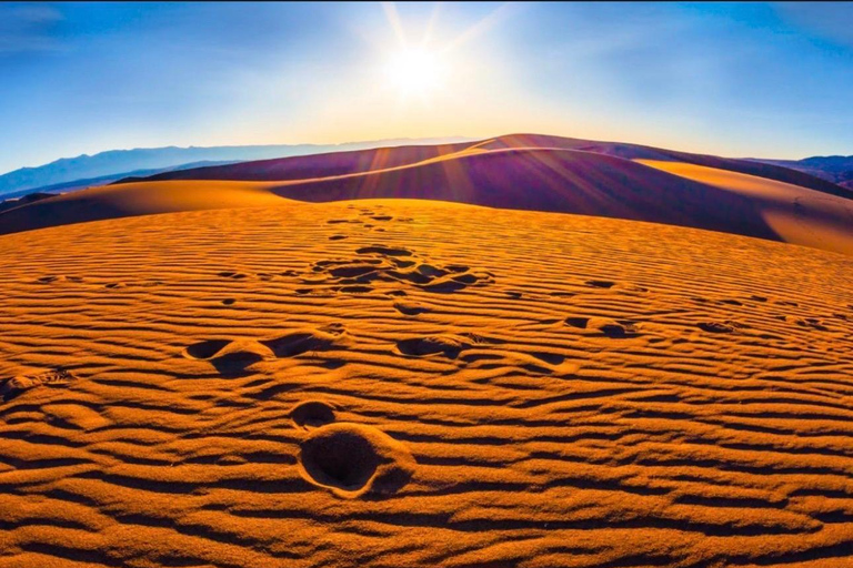 Doha: Sunrise Desert Safari with Sand boarding & inland sea