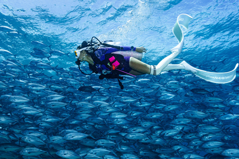 Fisheye Divers: PADI Open Water Course