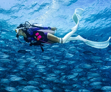Fisheye Divers: PADI Open Water Course