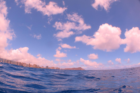 Waikiki: AM Paradise Honu SnorkelingWaikiki: AM Paradise Honu Snorkelen