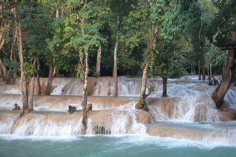 Luang Prabang: Kuang Si & Tad Sea Waterfall Day Trip