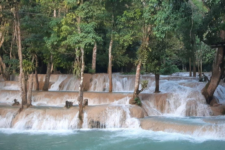 Luang Prabang: Kuang Si & Tad Sea Waterfall Day Trip