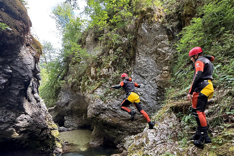 Bled: Adventure Canyoning tour Grmecica