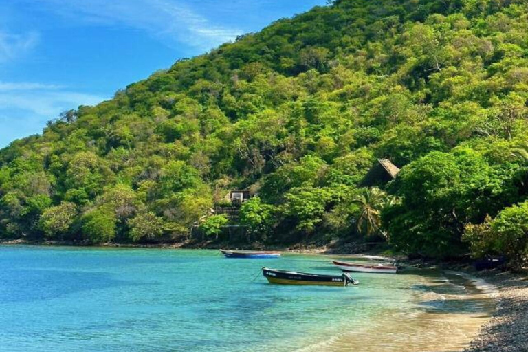 Desde Santa Marta: Ensenada de cinto Tayrona 2-Day Trek