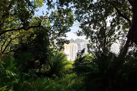 Tour guidato delle Cascate Vittoria e safari nel Parco Chobe