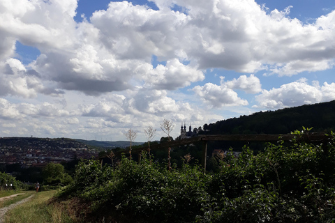 Wurtzbourg : rallye dans les vignobles avec dégustation de vins et dynamique de groupeWuerzburg : rallye dans les vignobles avec dégustation de vin et dynamique de groupe