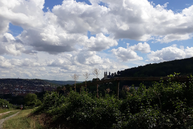 Wurtzbourg : rallye dans les vignobles avec dégustation de vins et dynamique de groupeWuerzburg : rallye dans les vignobles avec dégustation de vin et dynamique de groupe
