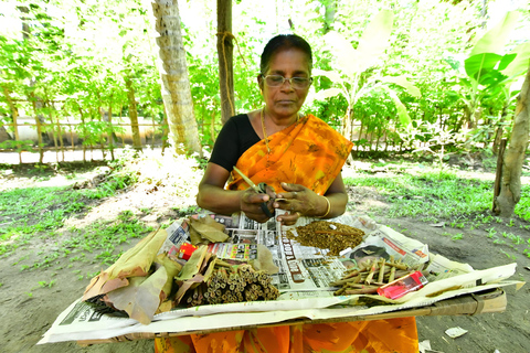 Kochi: Backwater Village Guided Visit with Meal