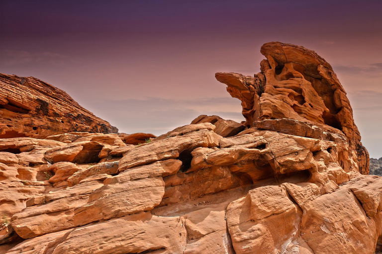 Las Vegas: Valley of Fire State Park Guided Tour