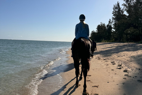 Descubriendo el sur. Paseos a caballo por la playa, excursiones a cascadas.